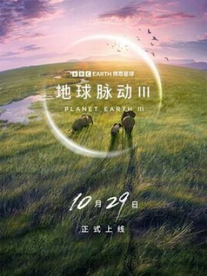 职场风云